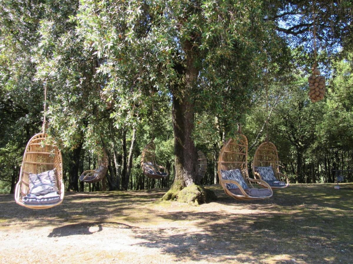 Holiday home La Rimessa Experience-dream Montaione