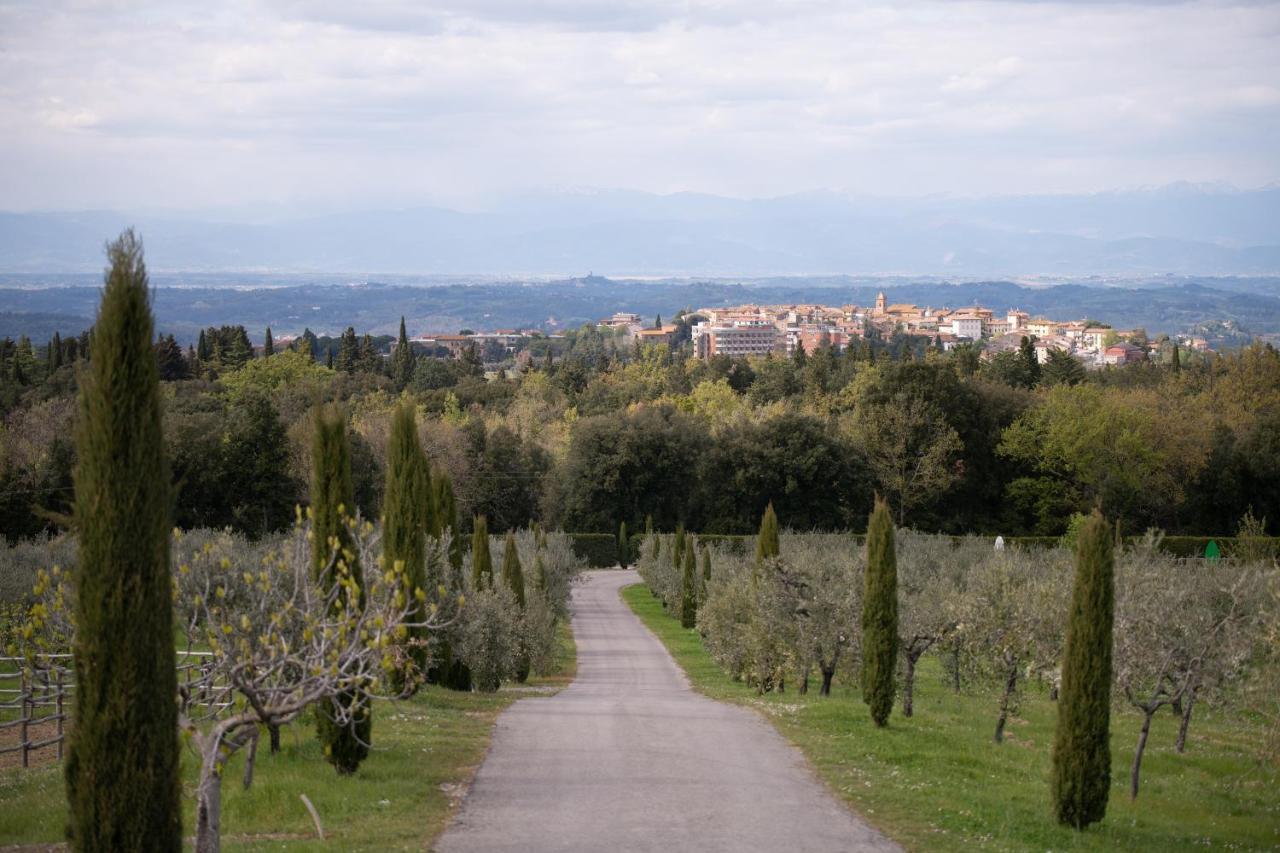 La Rimessa Experience-dream